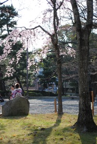 日本美