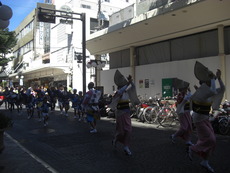 阿波踊りキター!!