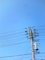 まだ涼しい朝、