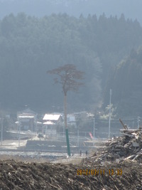 陸前高田市へ③