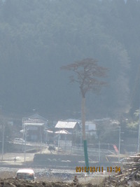 陸前高田市へ⑤