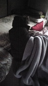 異常気象？