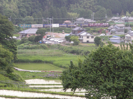 棚田の夕日