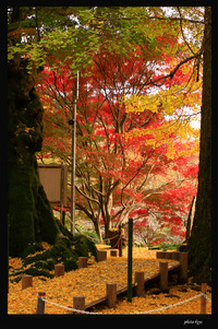伊豆市益山寺