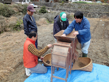 ソバの脱穀作業