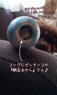 納豆おからクッキーの利用方法
