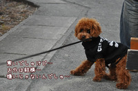 大淵Gとママのつぶやき。。。