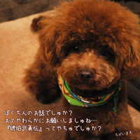 琥珀ご飯お残しさん対策