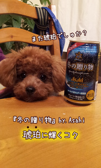琥珀という名前