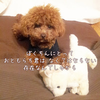 琥珀のおともらち君アゲイン♪