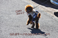 藤枝東高校付近でうろうろ