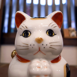 お願い猫2