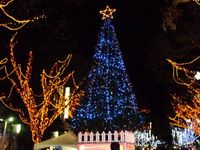 クリスマス準備