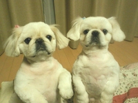 ダブルタッチ☆