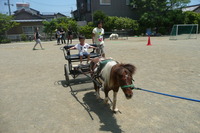 移動動物園♪