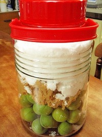 梅味噌の作り方（レシピ）⑦