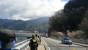 チャレンジ富士五湖ウルトラマラソン報告