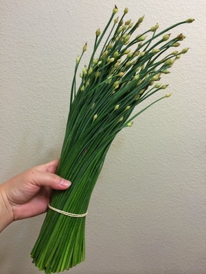 小台湾blog 韭菜花 にらの芽