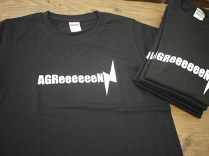 ＡＧＲｅｅｅｅｅｅＮ（追記）