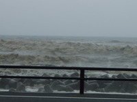 ２０日（水）の海