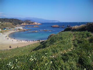 伊豆下田へ行ってきました