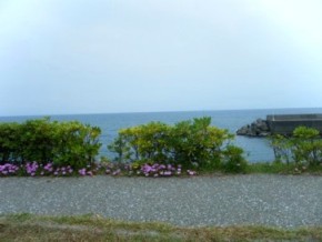 Sarrys Cafeと広野海岸公園