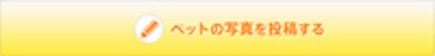 連休はお金のかからない公園で遊ぼう