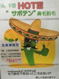 期間限定！！