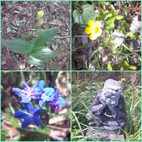 ５月の山歩き
