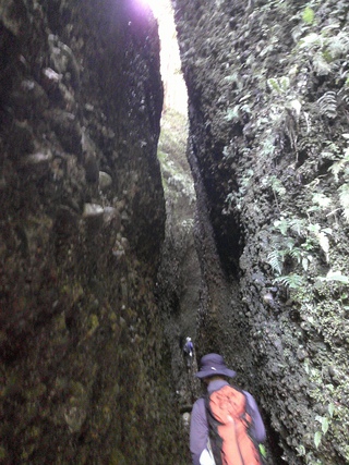 4月の山歩き  小笠山