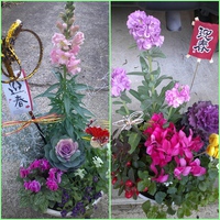 寄せ植え