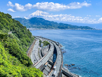 ウオーキングで「薩埵峠」へ