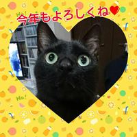 年が明けまくってしまいました。。。