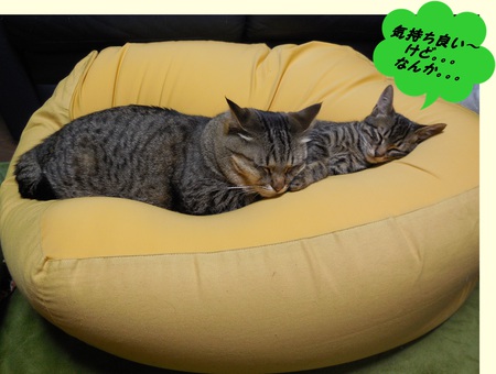 ティロ保育園!?