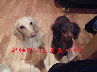 土地決めたら、今度は・・・