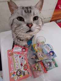 松ボーダーズ誕生！？