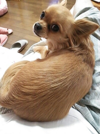 定位置