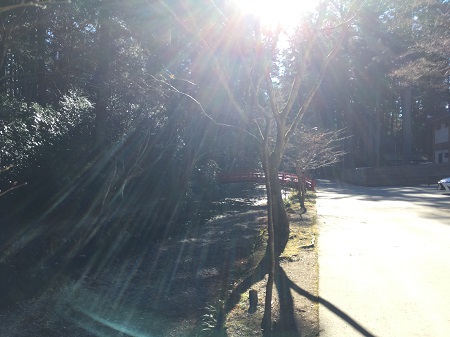 初詣に行ってきました