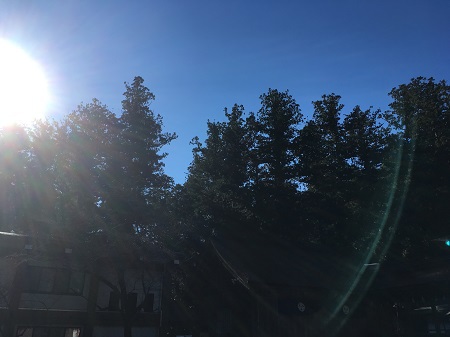 初詣に行ってきました