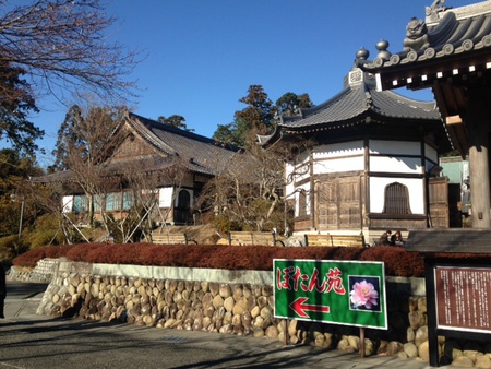 可睡斎が素晴らしかった！