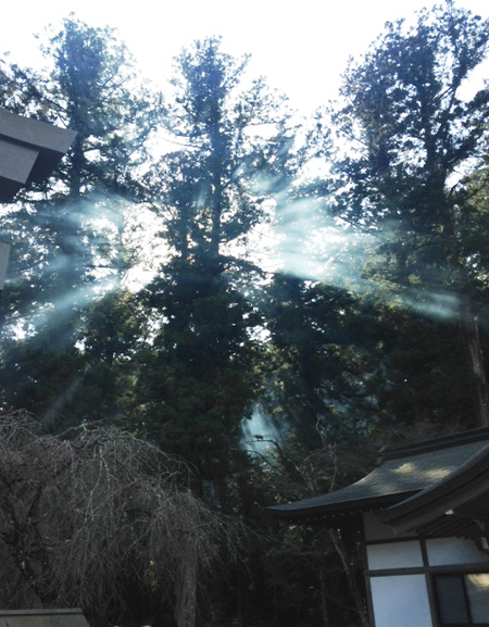 ご祈祷してきました