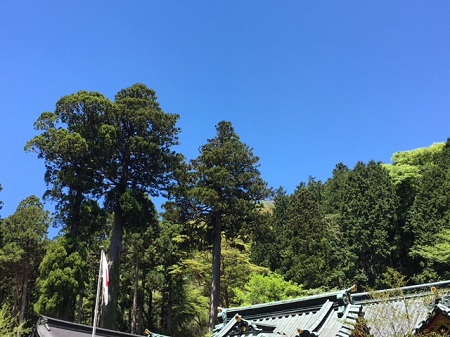 箱根神社に行ってきました２０１８