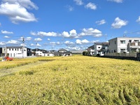 今年もわが家のお米ができました(^^)