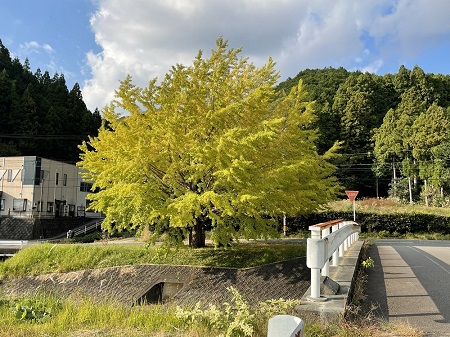 長屋門修繕工事
