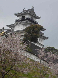 枝垂れ桜…遅かった〜 2012/04/14 08:38:20
