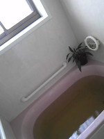 寒い朝には 2012/11/29 08:29:06