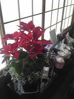 少しは X'masムード 出たかしら 2012/12/04 13:56:28