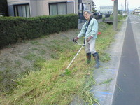 雑草と格闘