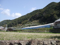 四国遍路考(12)