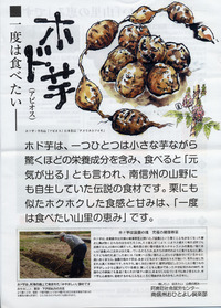 信州のほどいも　です。